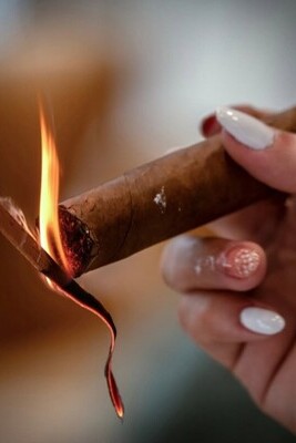 Your cigar paradise is waiting! BOOK YOUR 2025-2026 EXPERIENCE NOW! 🍃🍂💨#tobaccotours #experi (1) (1)