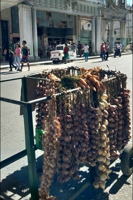 20251222_120616 (1) (1)